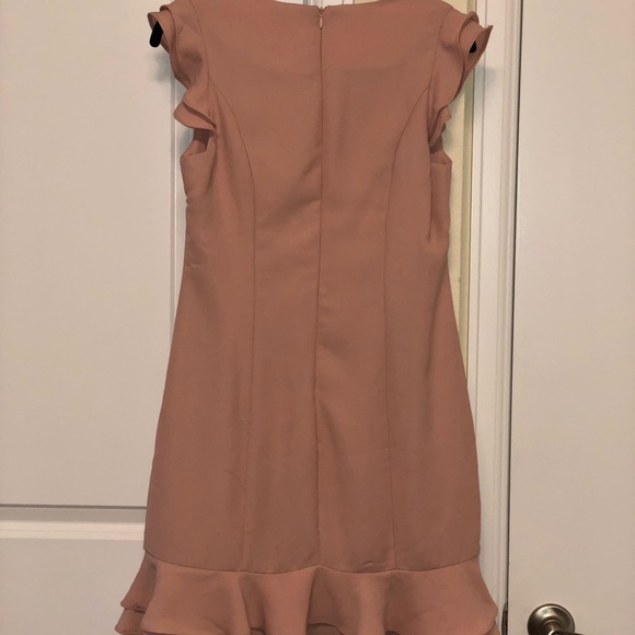 NWT!! Ruffle Hem Sheath Dress by 19 Cooper - Picture 4 of 8